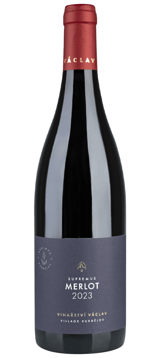 Merlot 2023 - hezkavina