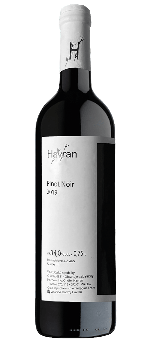 Pinot Noir 2019 - hezkavina