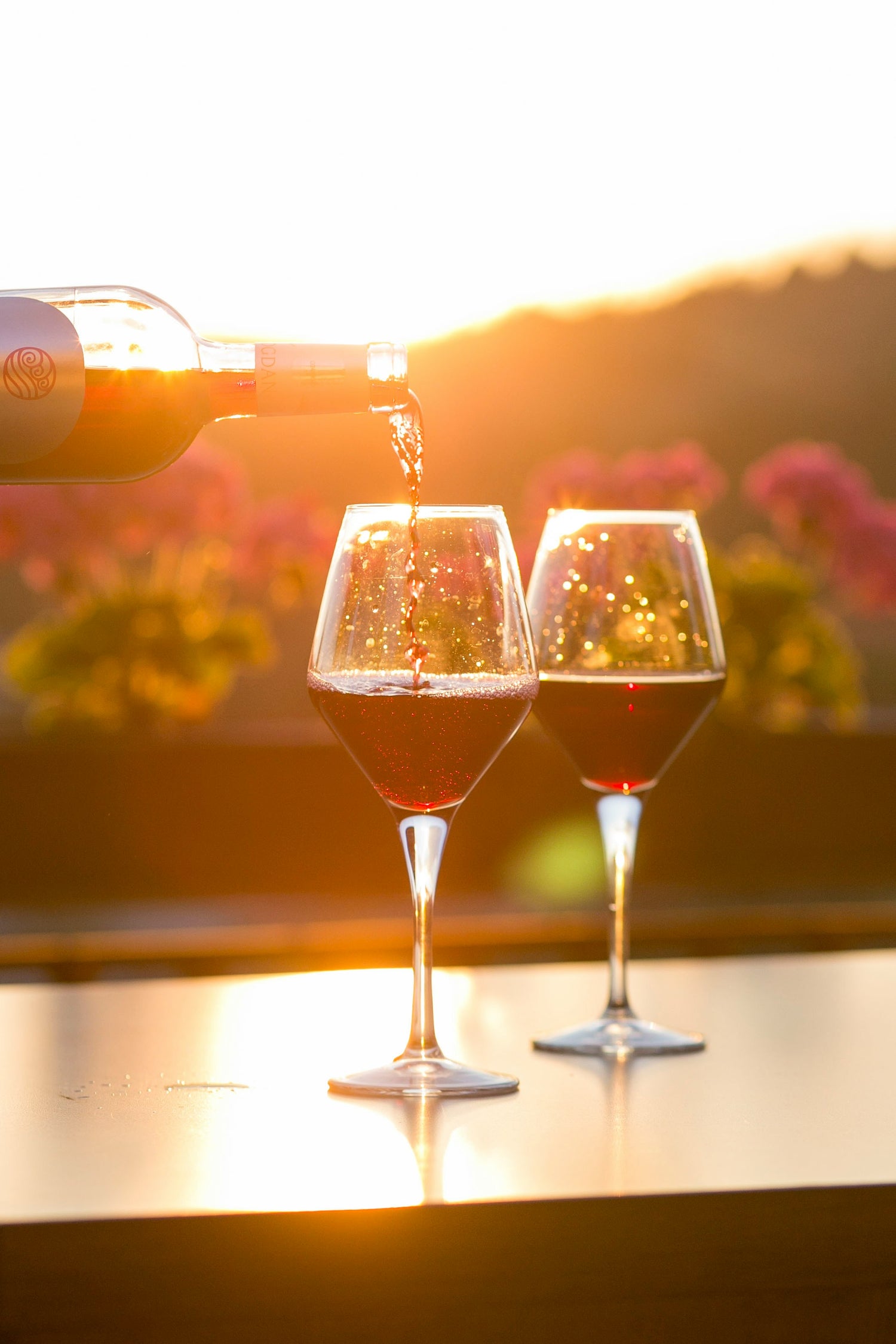 Skleničky s Cabernetem Sauvignon při západu slunce, řady vinné révy se rozprostírají v kopcovité krajině s lesy v pozadí.